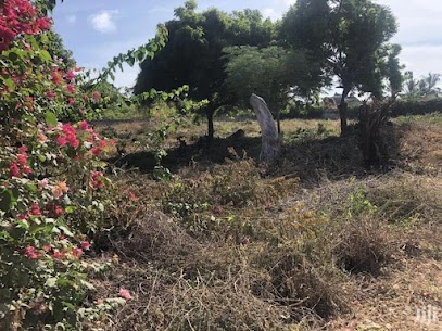 plot bombax road, 45M